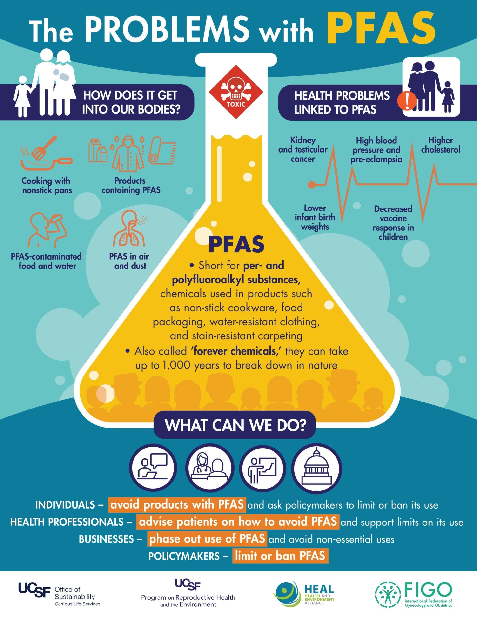 PFAS Litigation Update September 2024